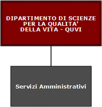 Organigramma del Dipartimento QuVi